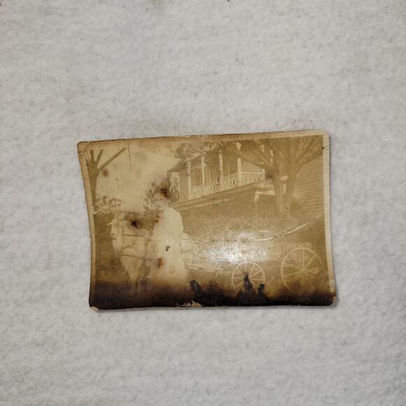 Antique Photo Western Woman Goat Carriage House Studio Photography 1800s Photos - Picture 3 of 6